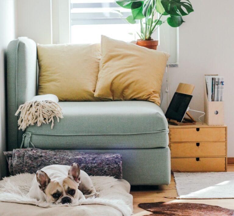 10 Astuces Infaillibles Pour Aménager Un Petit Espace – Comfy & Chic AF 🌟